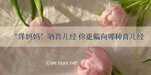 “洋妈妈”晒育儿经 你更偏向哪种育儿经