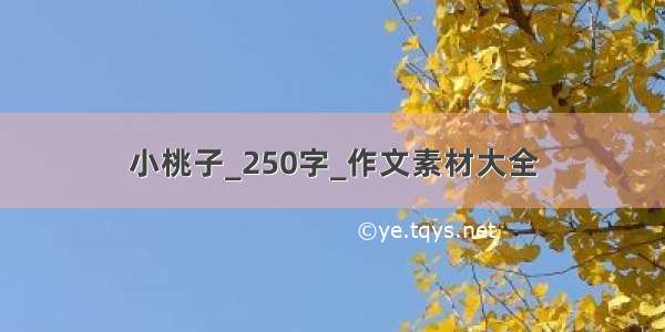 小桃子_250字_作文素材大全