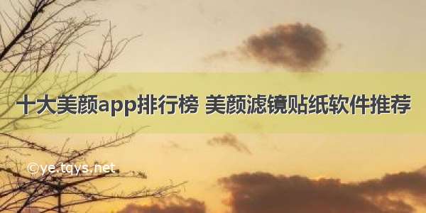 十大美颜app排行榜 美颜滤镜贴纸软件推荐