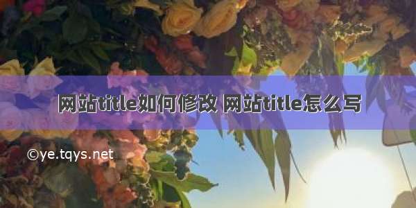 网站title如何修改 网站title怎么写