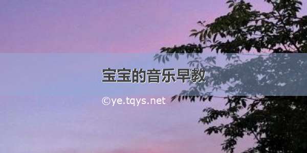 宝宝的音乐早教