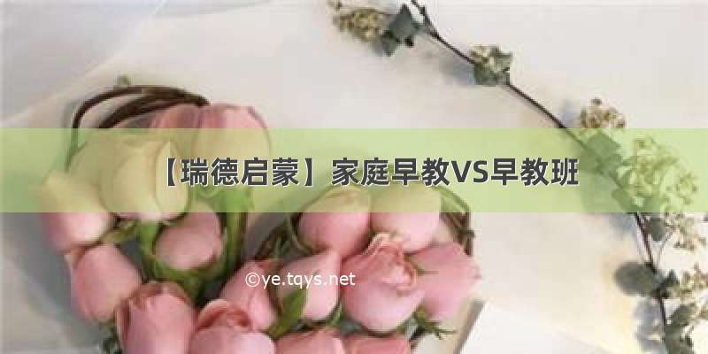 【瑞德启蒙】家庭早教VS早教班