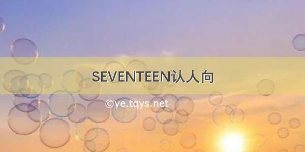 SEVENTEEN认人向