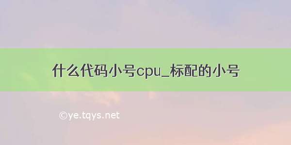 什么代码小号cpu_标配的小号