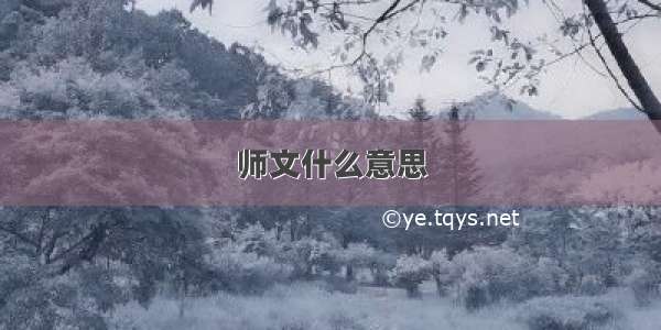 师文什么意思