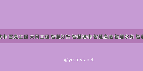 平安城市 雪亮工程 天网工程 智慧灯杆 智慧城市 智慧高速 智慧水库 智慧医院 