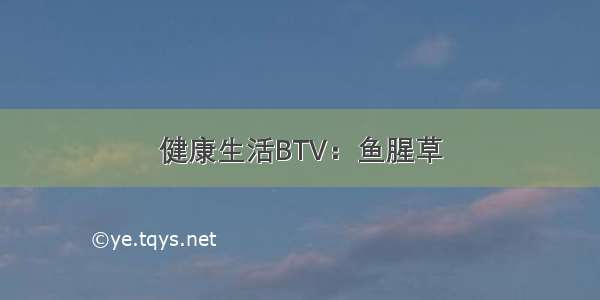 健康生活BTV：鱼腥草
