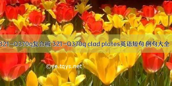 321-Q370q复合板 321-Q370q clad plates英语短句 例句大全