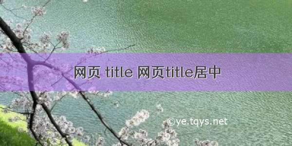 网页 title 网页title居中