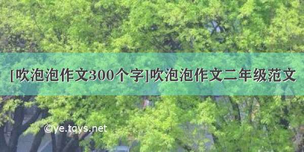 [吹泡泡作文300个字]吹泡泡作文二年级范文