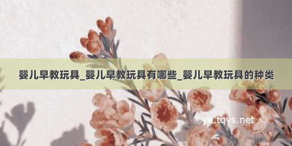 婴儿早教玩具_婴儿早教玩具有哪些_婴儿早教玩具的种类