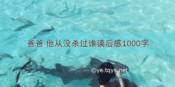 爸爸 他从没杀过谁读后感1000字