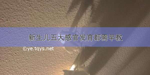 新生儿五大感官发育都需早教