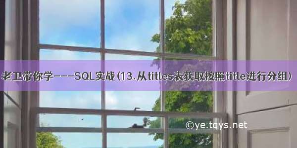 老卫带你学---SQL实战(13.从titles表获取按照title进行分组)