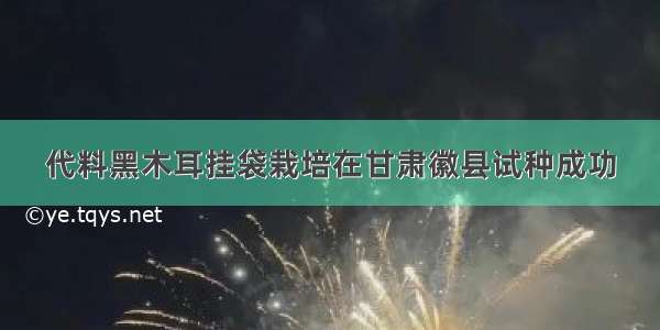 代料黑木耳挂袋栽培在甘肃徽县试种成功