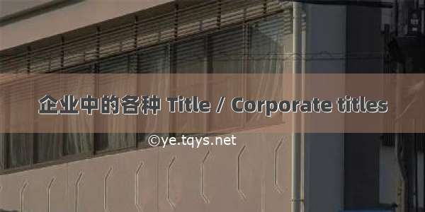 企业中的各种 Title / Corporate titles