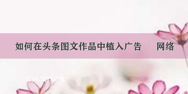 如何在头条图文作品中植入广告 – 网络