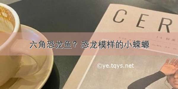 六角恐龙鱼？恐龙模样的小蝾螈