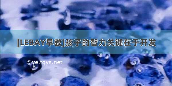 [LEBAY早教]孩子的智力关键在于开发