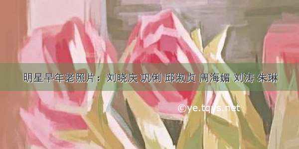 明星早年老照片：刘晓庆 巩俐 邱淑贞 周海媚 刘涛 朱琳