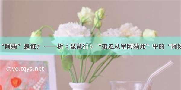 “阿姨”是谁？ ——析《琵琶行》“弟走从军阿姨死”中的“阿姨”