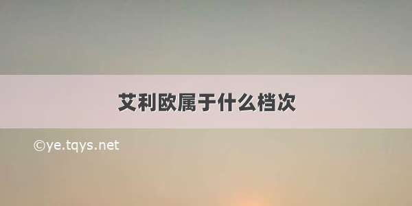 艾利欧属于什么档次