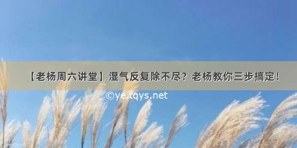 【老杨周六讲堂】湿气反复除不尽？老杨教你三步搞定！