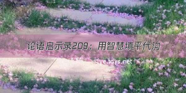 论语启示录209：用智慧填平代沟