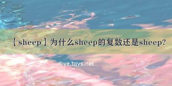 【sheep】为什么sheep的复数还是sheep?