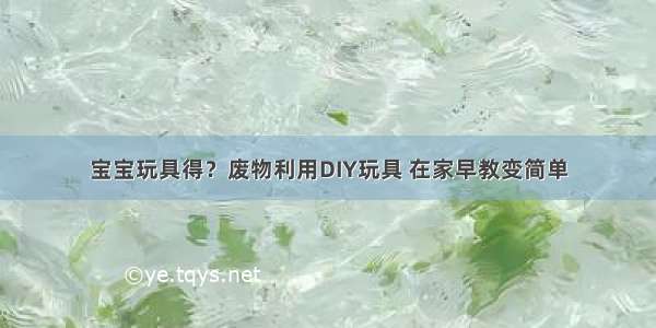 宝宝玩具得？废物利用DIY玩具 在家早教变简单