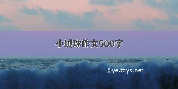 小绒球作文500字