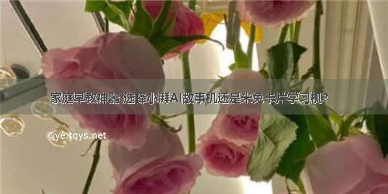 家庭早教神器 选择小湃AI故事机还是米兔卡片学习机？