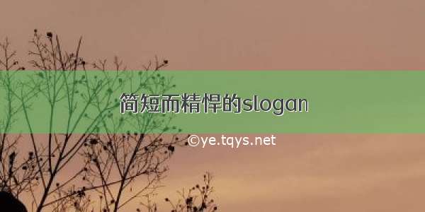 简短而精悍的slogan