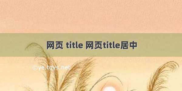 网页 title 网页title居中