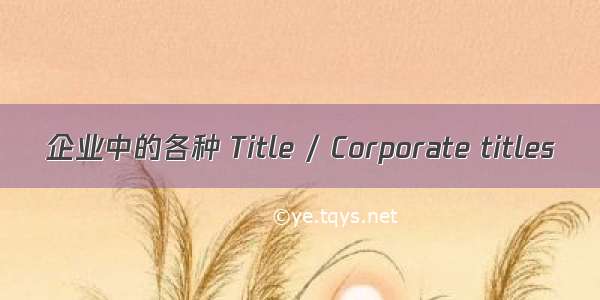 企业中的各种 Title / Corporate titles