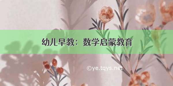 幼儿早教：数学启蒙教育