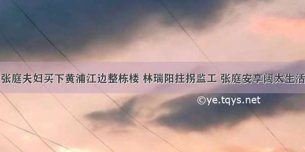 张庭夫妇买下黄浦江边整栋楼 林瑞阳拄拐监工 张庭安享阔太生活