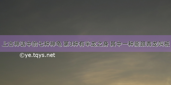 上古神话中的七种神龟 第3种有半龙之身 其中一种能跟青龙叫板