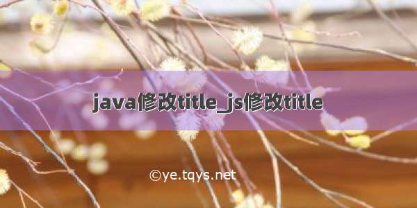 java修改title_js修改title