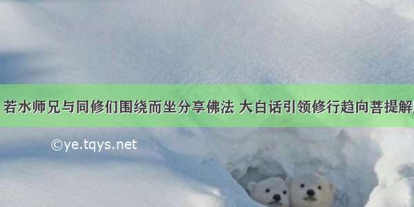 816 若水师兄与同修们围绕而坐分享佛法 大白话引领修行趋向菩提解脱路