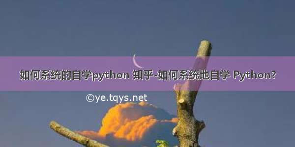 如何系统的自学python 知乎-如何系统地自学 Python？