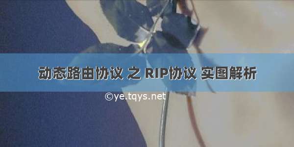 动态路由协议 之 RIP协议 实图解析