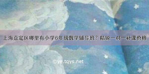 上海嘉定区哪里有小学6年级数学辅导班？精锐一对一补课价格