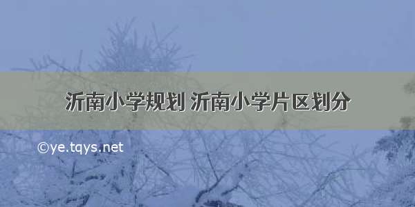 沂南小学规划 沂南小学片区划分