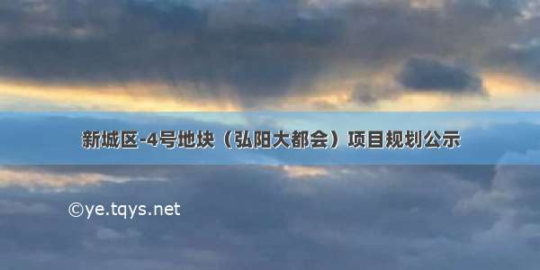 新城区-4号地块（弘阳大都会）项目规划公示