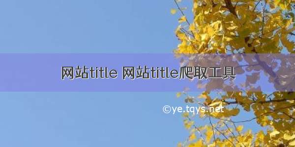 网站title 网站title爬取工具