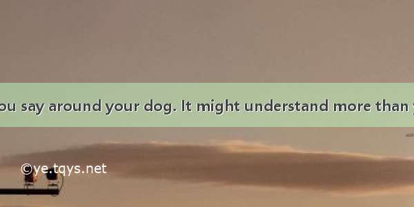 EBe careful what you say around your dog. It might understand more than you think.A border