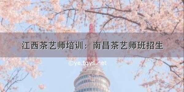 江西茶艺师培训：南昌茶艺师班招生