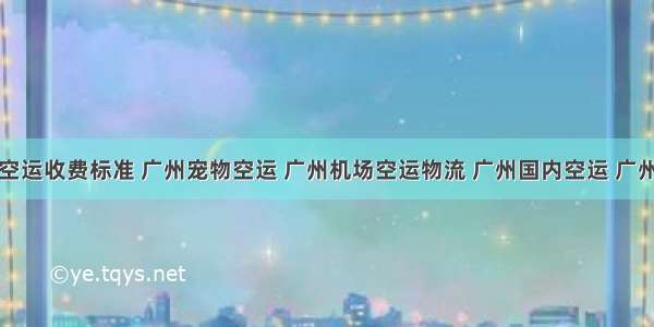 广州国际空运收费标准 广州宠物空运 广州机场空运物流 广州国内空运 广州空运物流