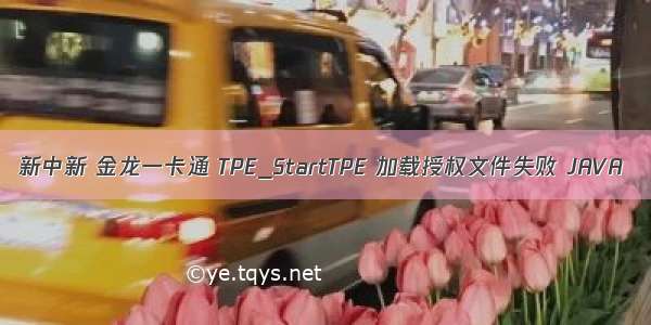 新中新 金龙一卡通 TPE_StartTPE 加载授权文件失败 JAVA